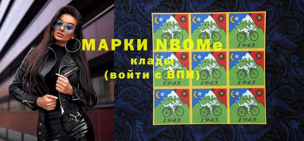 твердый Богданович