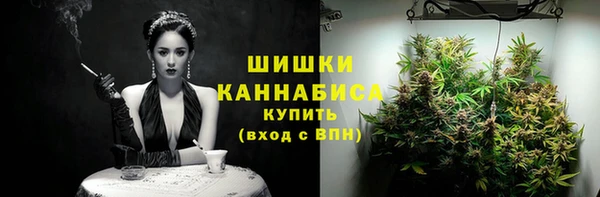 твердый Богданович