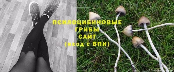 твердый Богданович