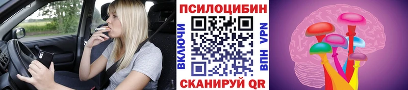 Псилоцибиновые грибы Cubensis Купить где Духовщина