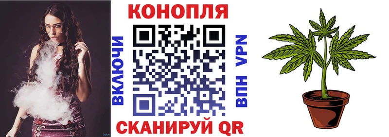 Купить  Духовщина  Шишки марихуана тримм 